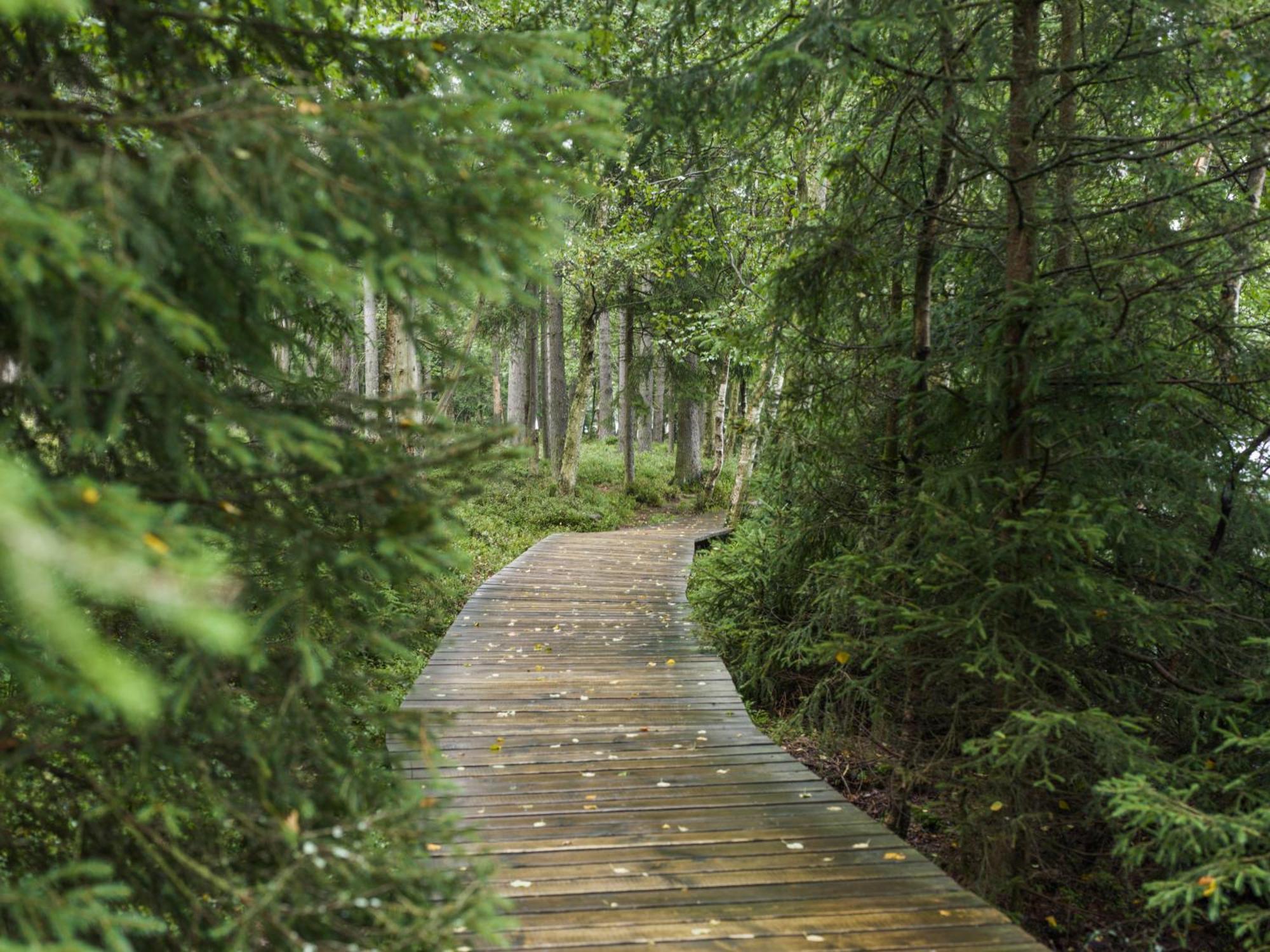 Falkensteiner Spa Resort Mariánské Lázně Exterior foto The boardwalk at the end of the trail